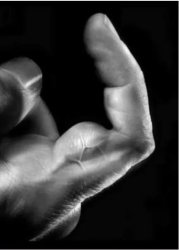 finger muscle Meme Template