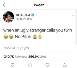 Dual Lipa twin Meme Template