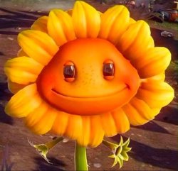 Fried Sunflower Meme Template