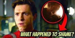 what happened to shame Meme Template