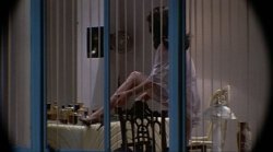 Body Double Meme Template