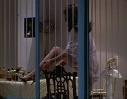 Body Double Meme Template