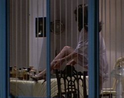 Body Double Meme Template