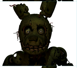 the bunny Meme Template