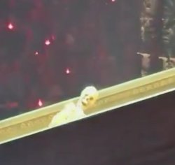 dead inside but you have to work Meme Template