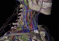 cable management Meme Template