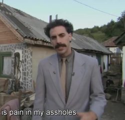 Borat pain in assholes Meme Template