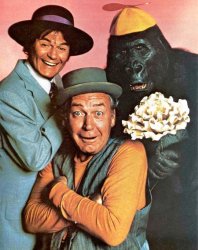 Eddie Spencer, Jake Kong and Tracy the gorilla with flowers Meme Template