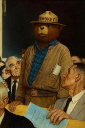 Smokey the Bear Meme Template