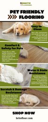 Pet Friendly Flooring Meme Template