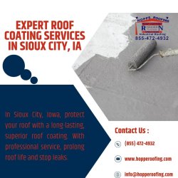 Expert Roof Coating Services in Sioux City, IA Meme Template