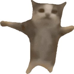 happy cat Meme Template