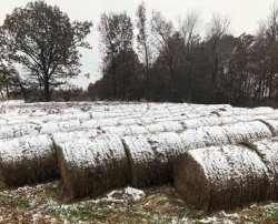 Chrisjoines1 Meme Template