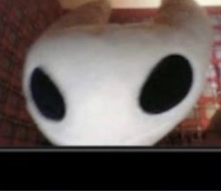 Shaw Template Meme Template