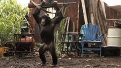 Monkey Bonkey Meme Template