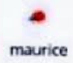 maurice Meme Template