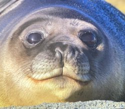 His mother left :3 Meme Template