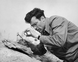 Geologist Looking at Rock Meme Template