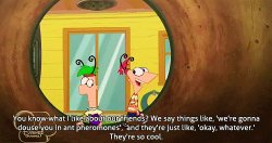 Like about our friends Meme Template