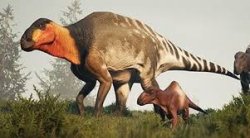 POT barsboldia Meme Template