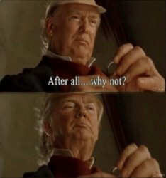 Trump why not? Meme Template