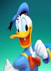 donald duck Meme Template