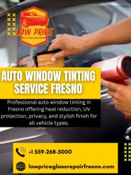 Auto Window Tinting Service Fresno Meme Template