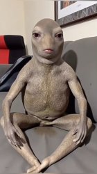 Ugly Alien Meme Template