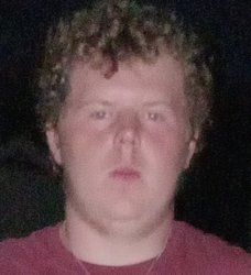 Deer in Headlights Meme Template