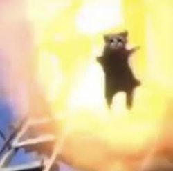 adios tonotos Meme Template