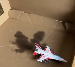 Plane in pizza box Meme Template