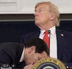 rubio going down on trump Meme Template