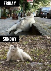 Two days off Meme Template