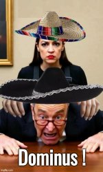 AOC dominates Chuck Schumer Meme Template