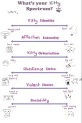 What's your kitty spectrum Meme Template
