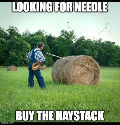 Needle in Haystack Meme Template