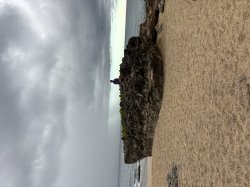 La Gloria de Dios Meme Template