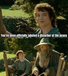 disturber of the peace Meme Template