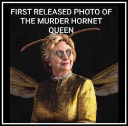 Hillary Murder Hornet Meme Template