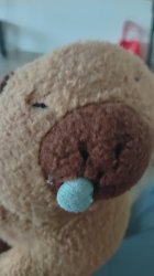 Capybara Meme Template