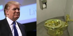 trump gold toilet Meme Template