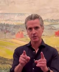Nutcase Gavin Newsom Meme Template