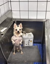 Bend and Snap Meme Template