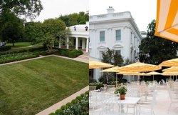 White House Rose Garden Trump's McDonald's Patio Meme Template