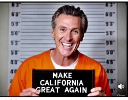 Greasy Gavin booking photo Meme Template