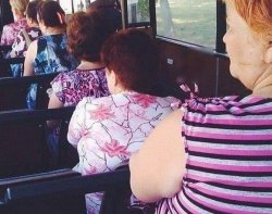 slavic bus Meme Template