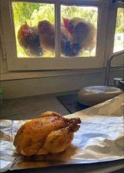 Chicken conspiracy Meme Template