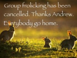 Group frolicking has been cancelled. Thanks Andrew. Meme Template