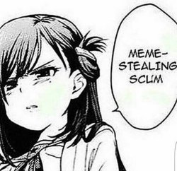 meme-stealing scum Meme Template