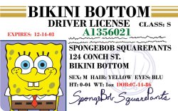Spongebob Driver License Meme Template